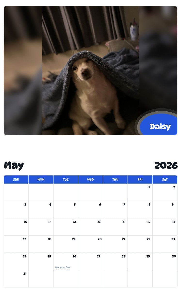 2026 - 2027 Daisy - Pawidols Pet Calendar
