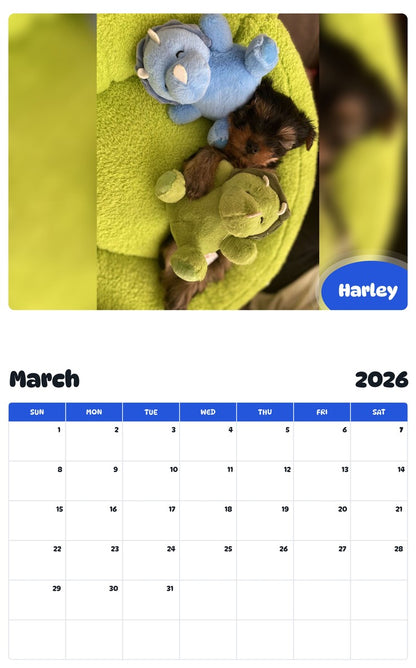 November 2025 - October 2026 Harley - Pawidols Pet Calendar