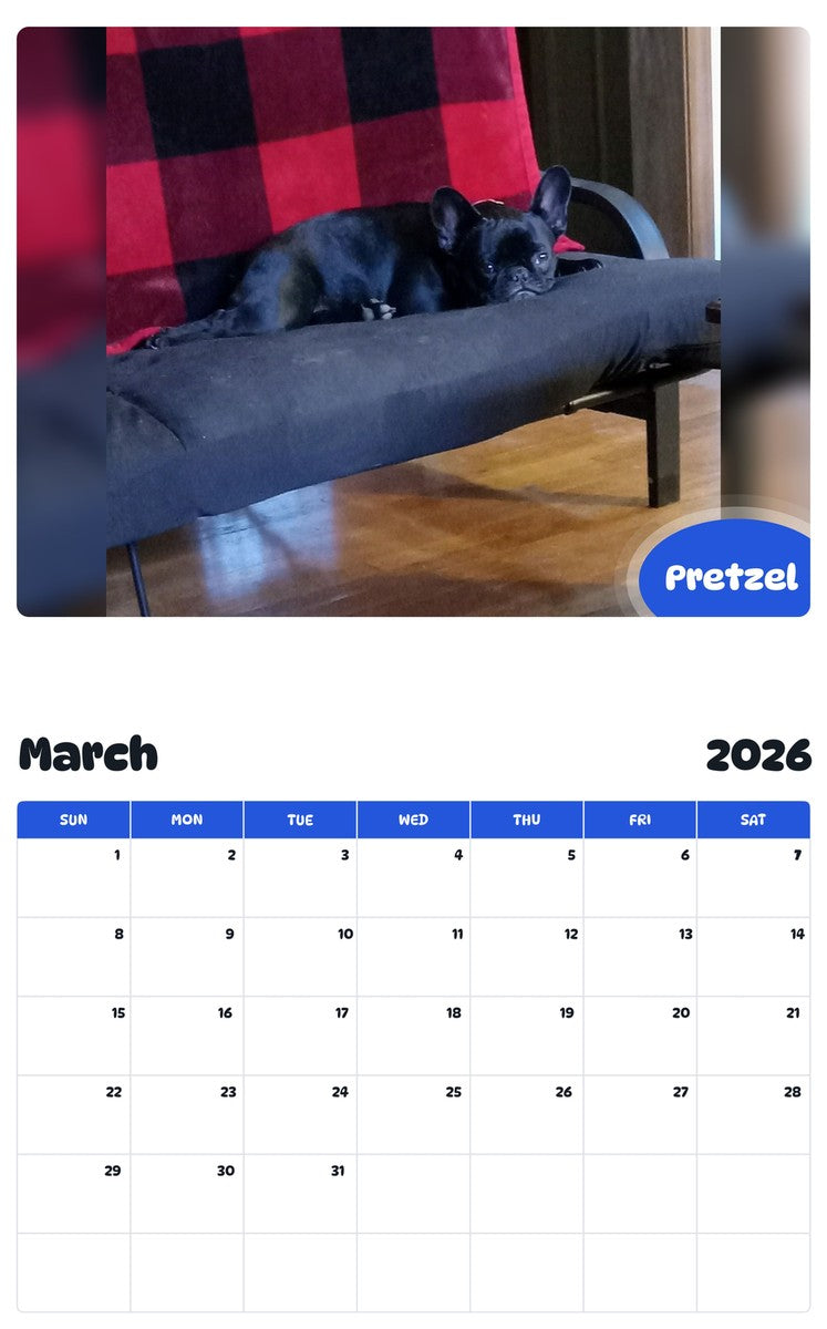 November 2025 - October 2026 Pretzel - Pawidols Pet Calendar