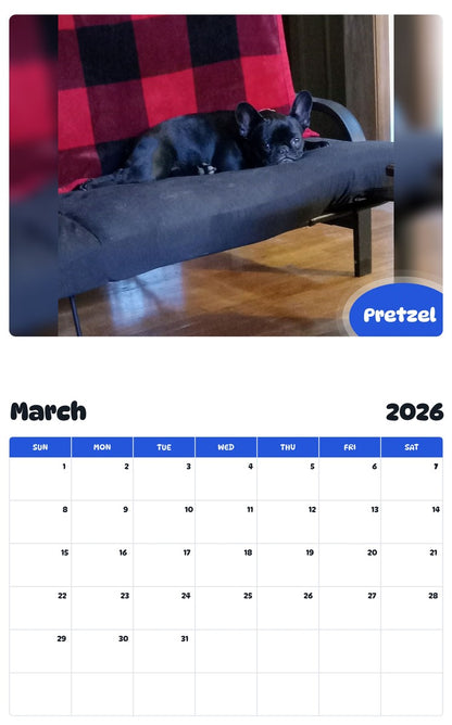 November 2025 - October 2026 Pretzel - Pawidols Pet Calendar