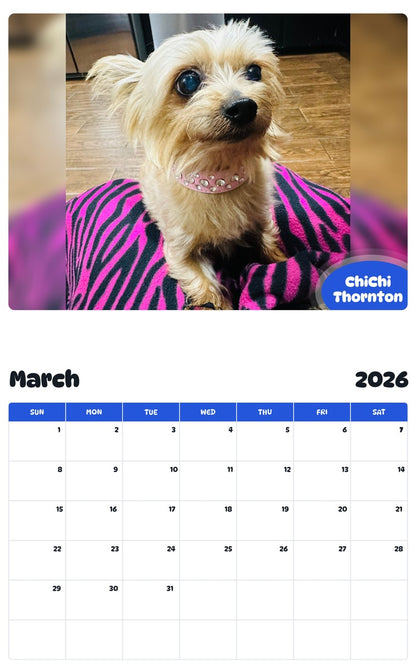 November 2025 - October 2026 ChiChi Thornton - Pawidols Pet Calendar