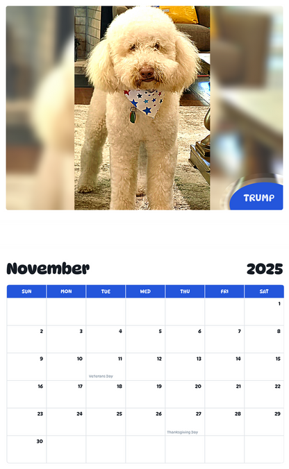 July 2025 - June 2026 Trump - Pawidols Pet Calendar