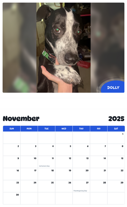 July 2025 - June 2026 Dolly - Pawidols Pet Calendar