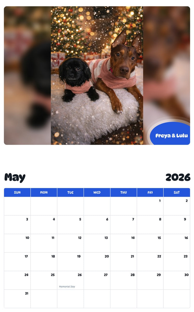 2026 - 2027 Freya & Lulu - Pawidols Pet Calendar