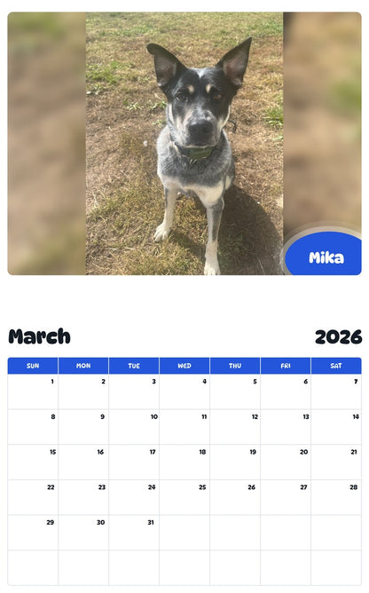 November 2025 - October 2026 Mika - Pawidols Pet Calendar
