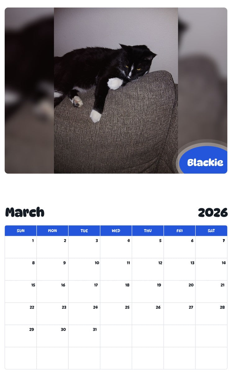 November 2025 - October 2026 Blackie - Pawidols Pet Calendar