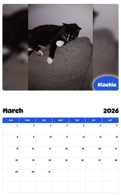 November 2025 - October 2026 Blackie - Pawidols Pet Calendar