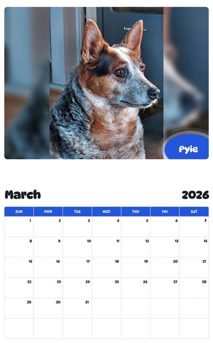 November 2025 - October 2026 Pyie - Pawidols Pet Calendar