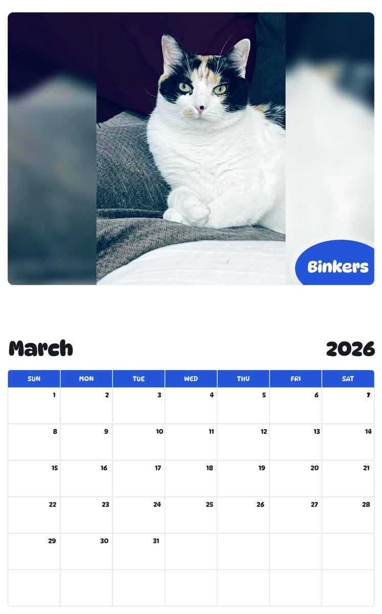 November 2025 - October 2026 Binkers - Pawidols Pet Calendar