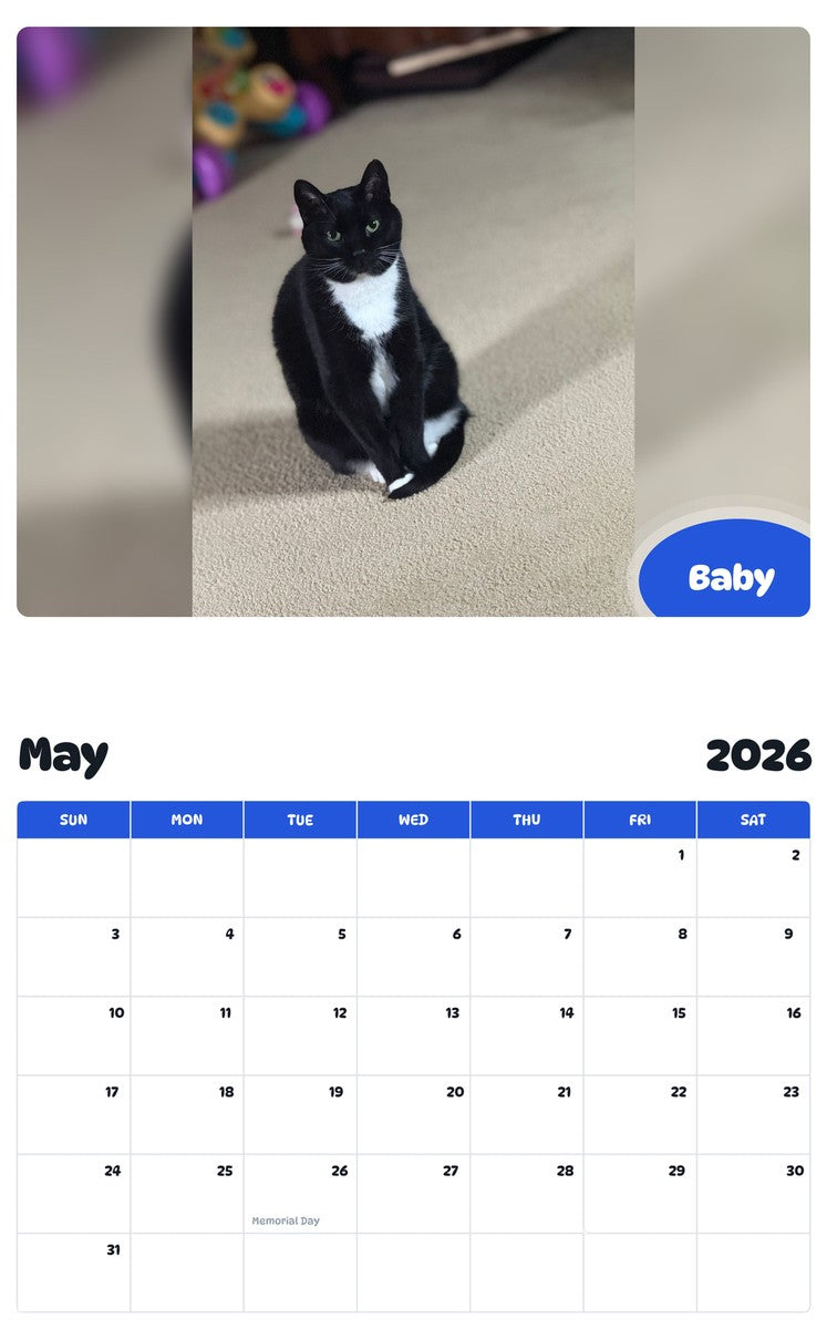 2026 - 2027 Baby - Pawidols Pet Calendar