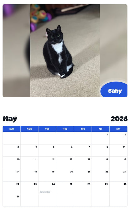 2026 - 2027 Baby - Pawidols Pet Calendar