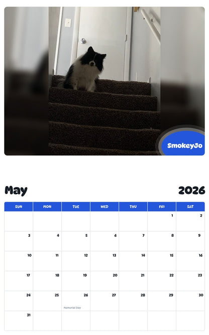 2026 - 2027 SmokeyJo - Pawidols Pet Calendar