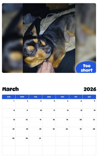 November 2025 - October 2026 Too short - Pawidols Pet Calendar