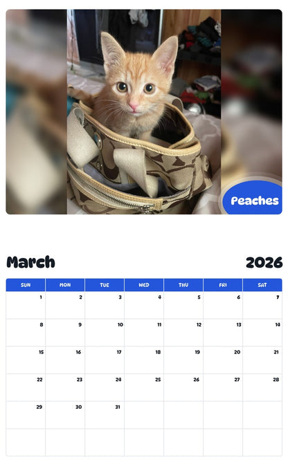 November 2025 - October 2026 Peaches - Pawidols Pet Calendar