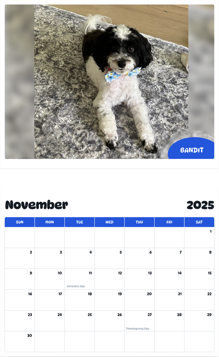 July 2025 - June 2026 Bandit - Pawidols Pet Calendar