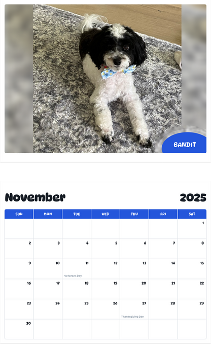 July 2025 - June 2026 Bandit - Pawidols Pet Calendar