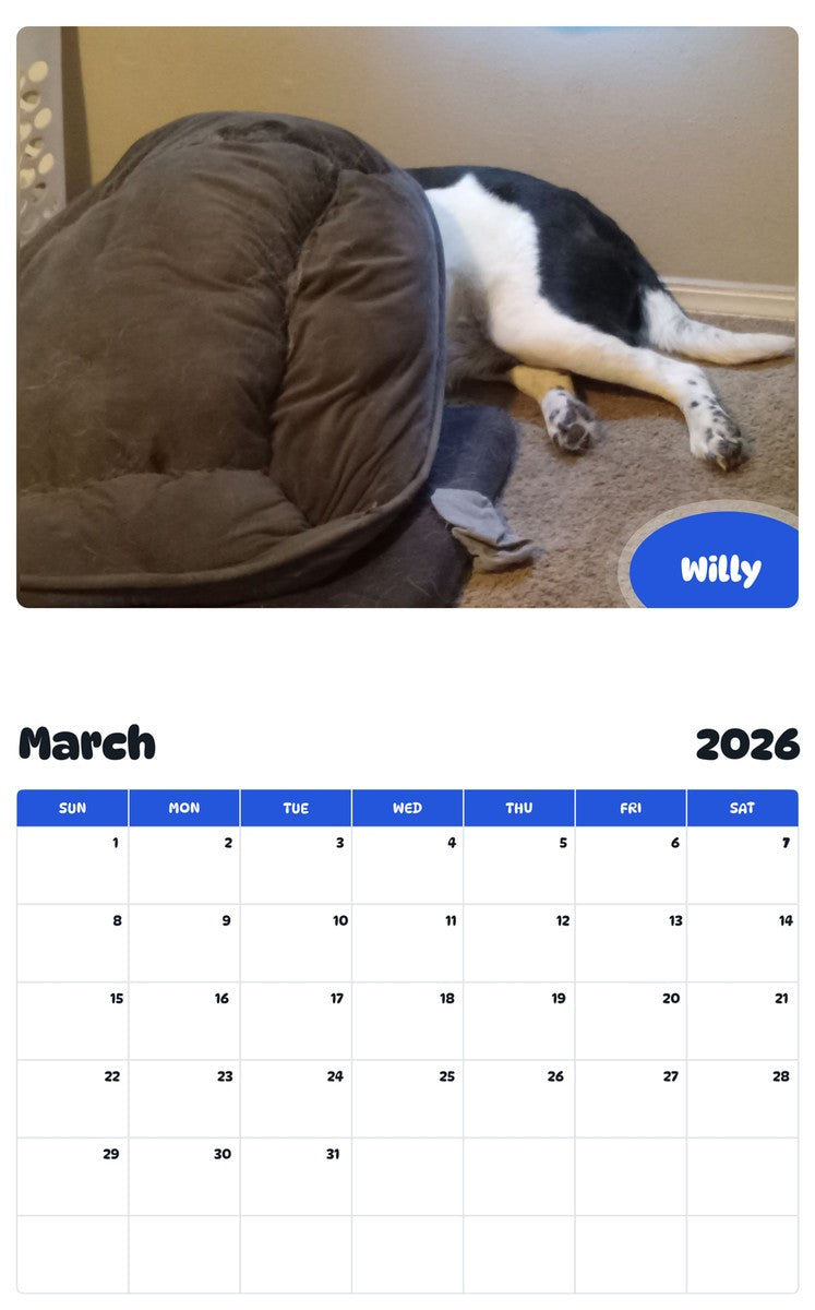 November 2025 - October 2026 Willy - Pawidols Pet Calendar
