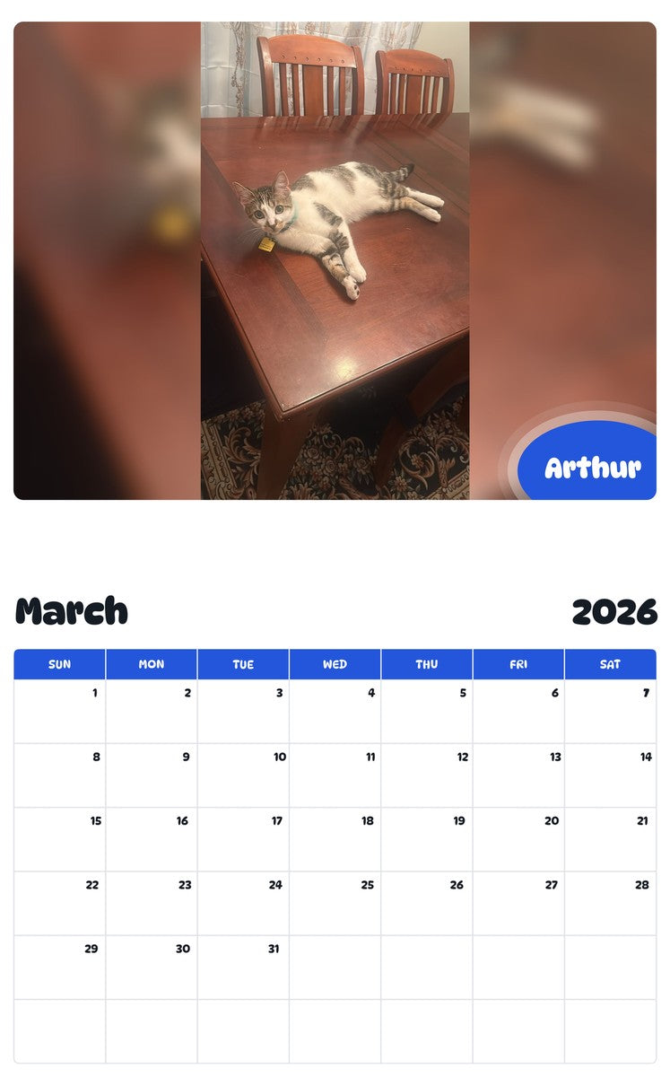 November 2025 - October 2026 Arthur - Pawidols Pet Calendar
