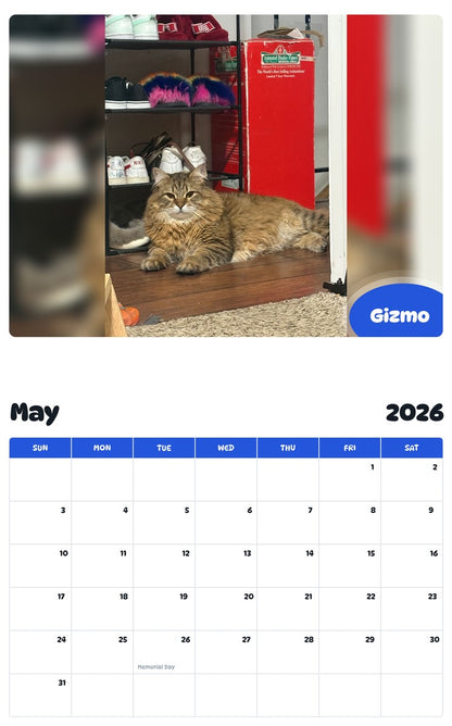 2026 - 2027 Gizmo - Pawidols Pet Calendar