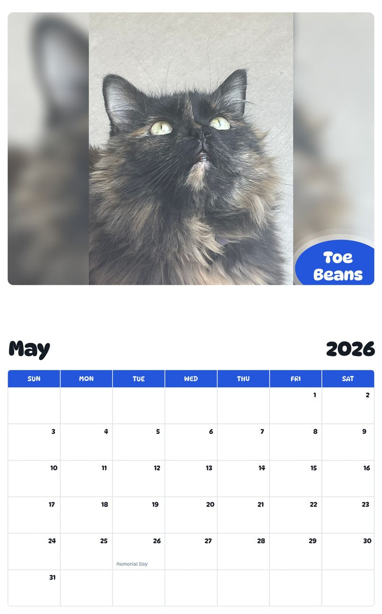 2026 - 2027 Toe Beans - Pawidols Pet Calendar