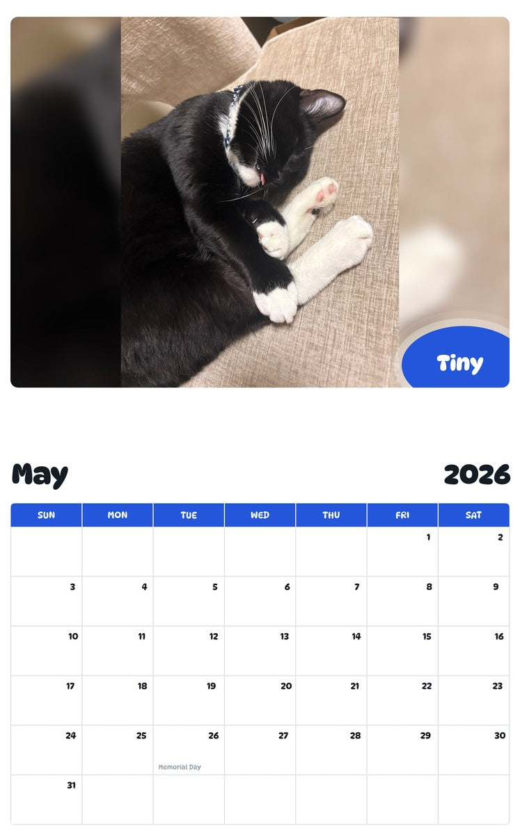 2026 - 2027 Tiny - Pawidols Pet Calendar