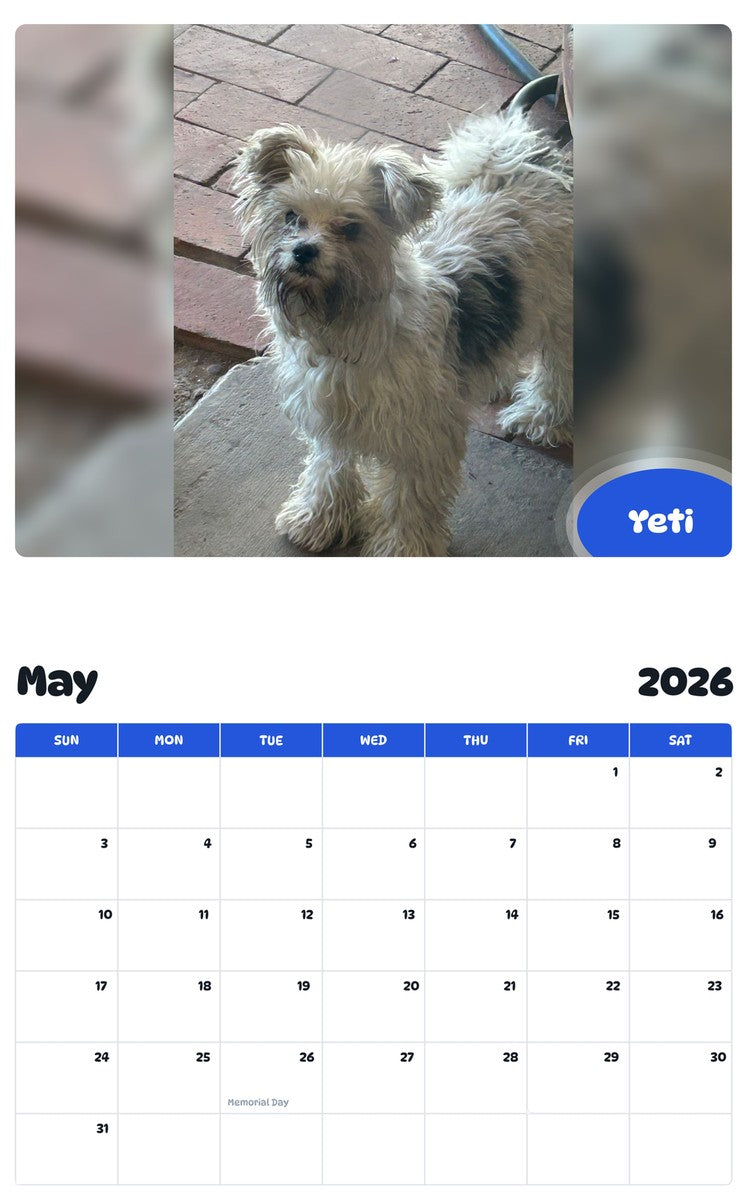 2026 - 2027 Yeti - Pawidols Pet Calendar