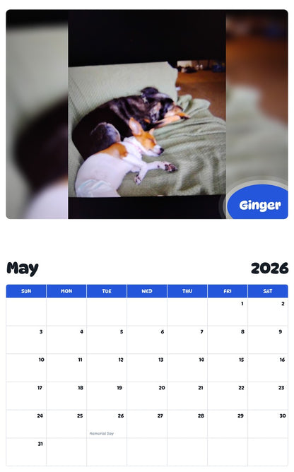 2026 - 2027 Ginger - Pawidols Pet Calendar