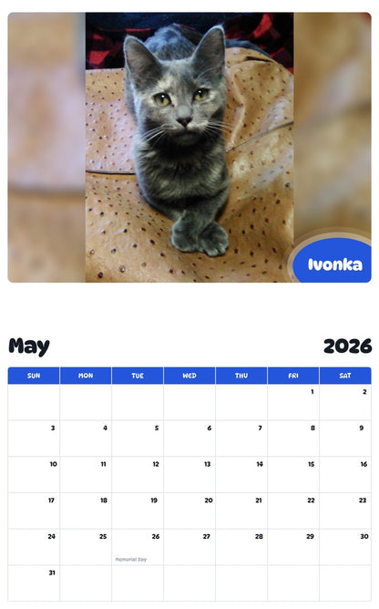 2026 - 2027 Ivonka - Pawidols Pet Calendar