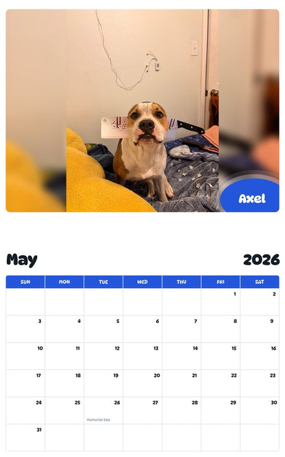 2026 - 2027 Axel - Pawidols Pet Calendar