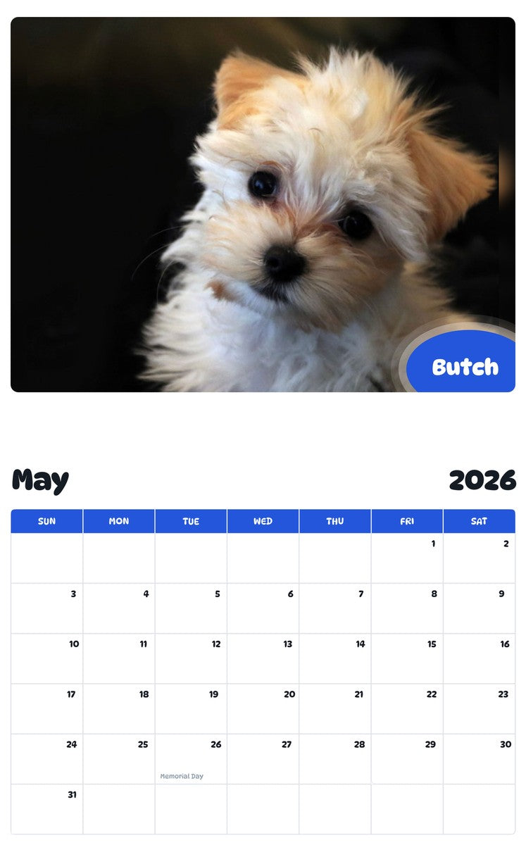 2026 - 2027 Butch - Pawidols Pet Calendar