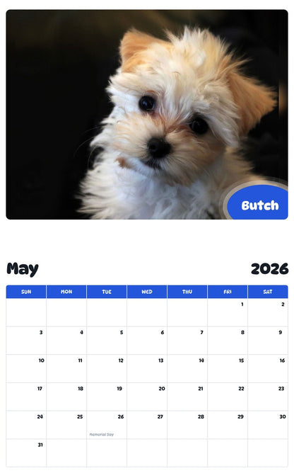 2026 - 2027 Butch - Pawidols Pet Calendar