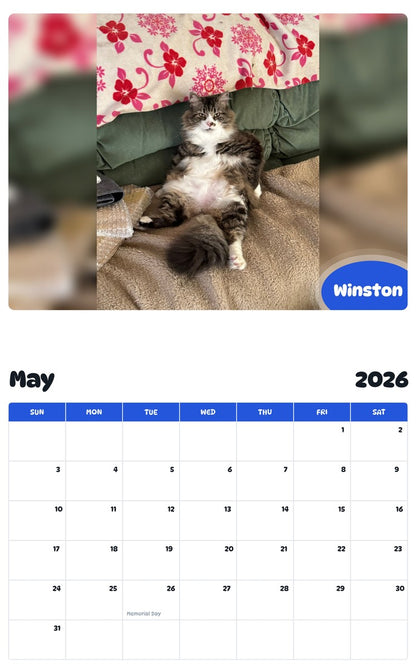 2026 - 2027 Winston - Pawidols Pet Calendar