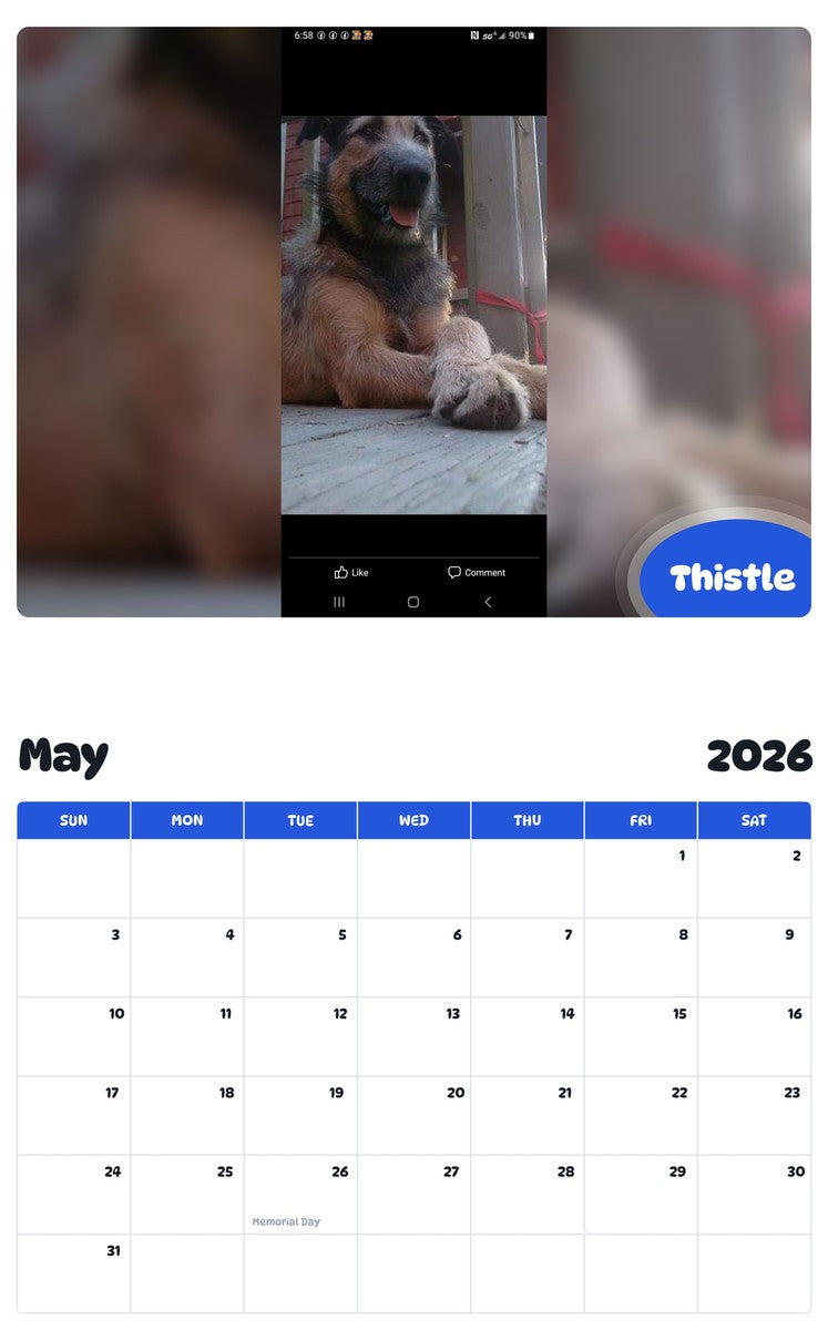 2026 - 2027 Thistle - Pawidols Pet Calendar