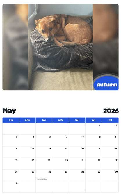 2026 - 2027 Autumn - Pawidols Pet Calendar