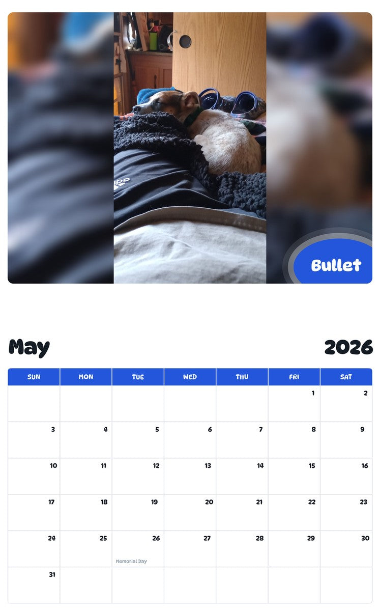 2026 - 2027 Bullet - Pawidols Pet Calendar
