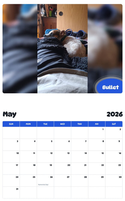 2026 - 2027 Bullet - Pawidols Pet Calendar