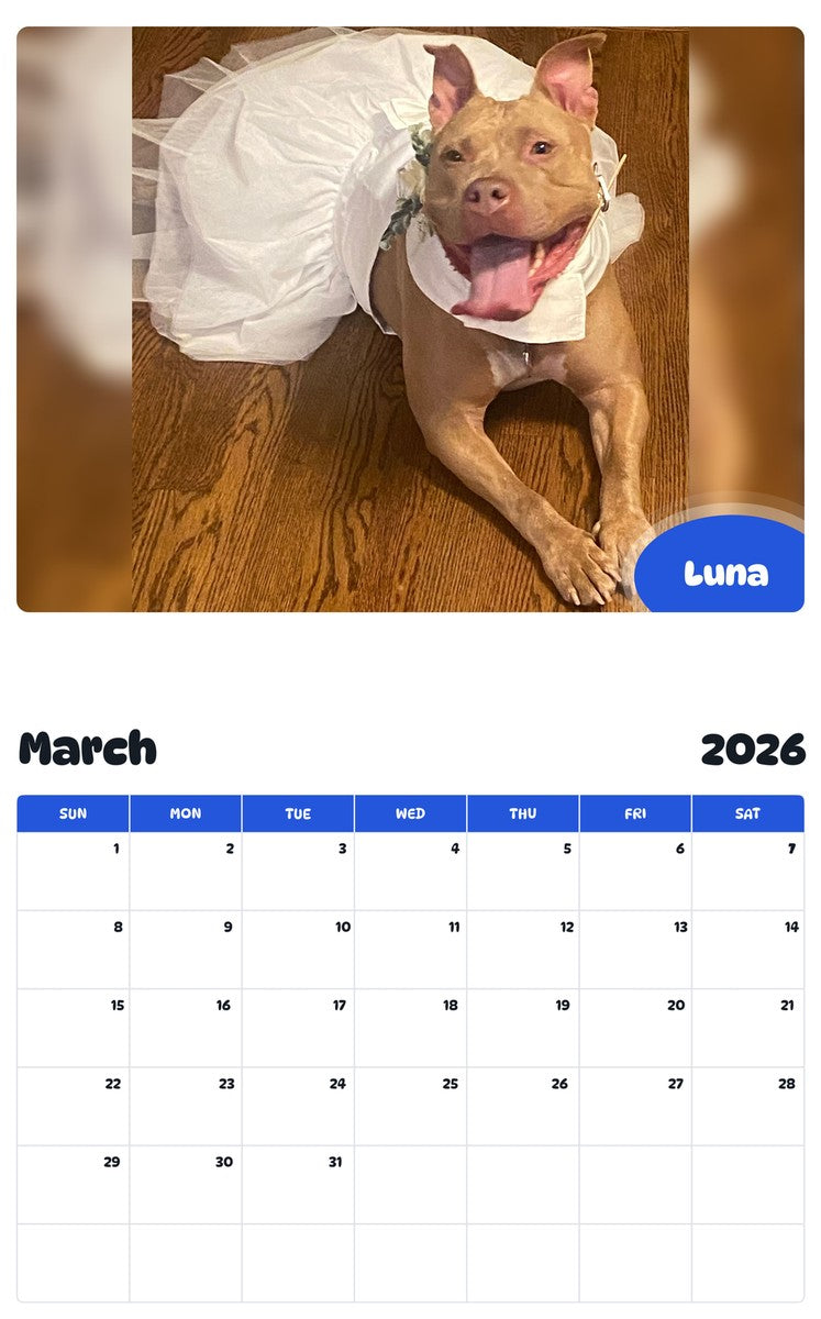 November 2025 - October 2026 Luna - Pawidols Pet Calendar