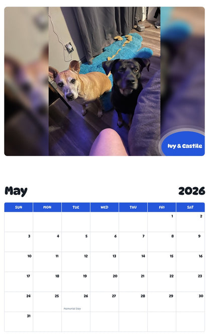 2026 - 2027 Ivy & Castile - Pawidols Pet Calendar
