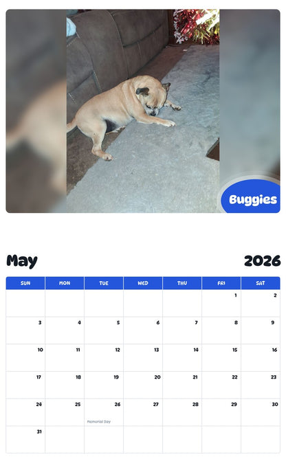 2026 - 2027 Buggies - Pawidols Pet Calendar
