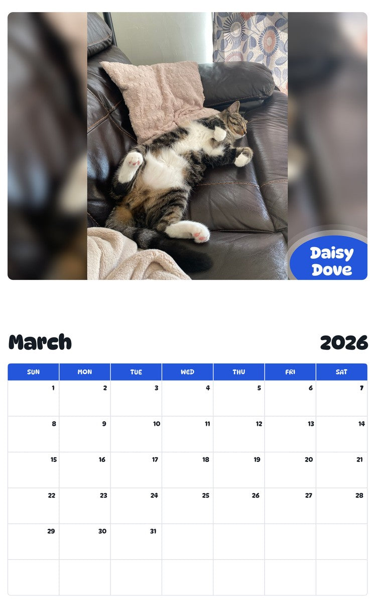 November 2025 - October 2026 Daisy Dove - Pawidols Pet Calendar