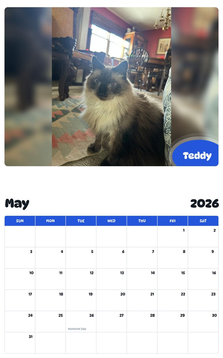 2026 - 2027 Teddy - Pawidols Pet Calendar