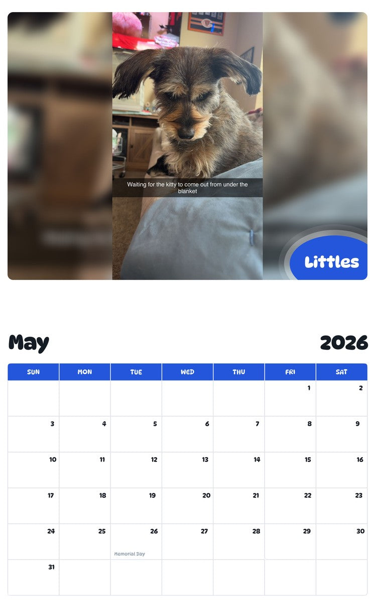 2026 - 2027 Littles - Pawidols Pet Calendar