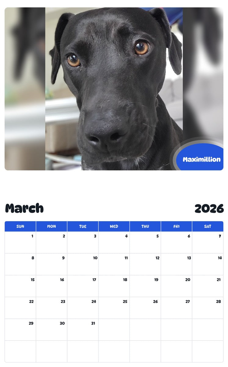 November 2025 - October 2026 Maximillion - Pawidols Pet Calendar