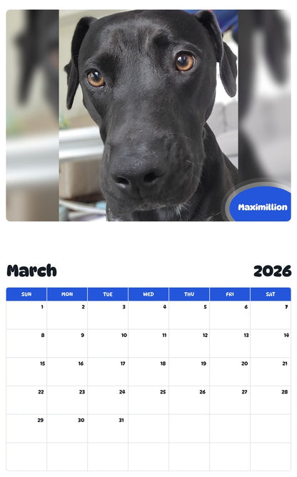 November 2025 - October 2026 Maximillion - Pawidols Pet Calendar