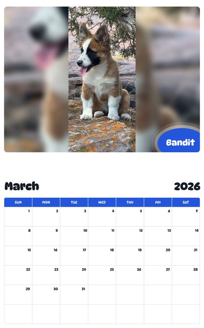 November 2025 - October 2026 Bandit - Pawidols Pet Calendar