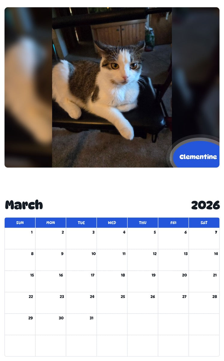 November 2025 - October 2026 Clementine - Pawidols Pet Calendar