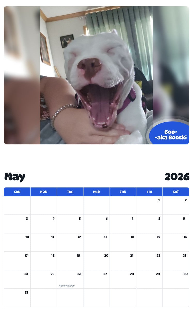 2026 - 2027 Boo--aka Booski - Pawidols Pet Calendar