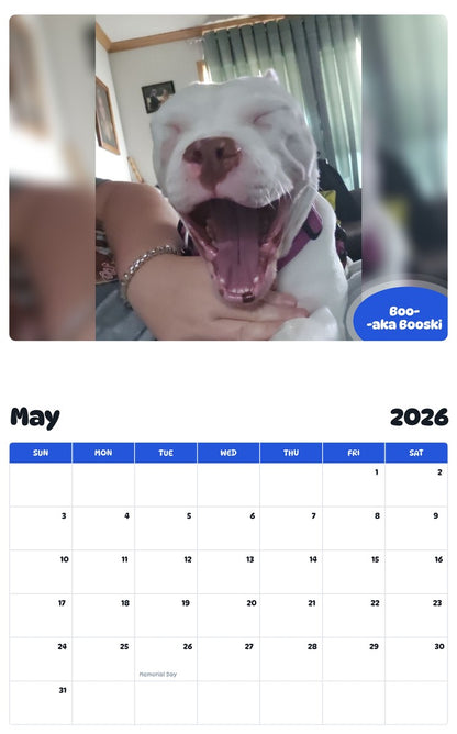 2026 - 2027 Boo--aka Booski - Pawidols Pet Calendar