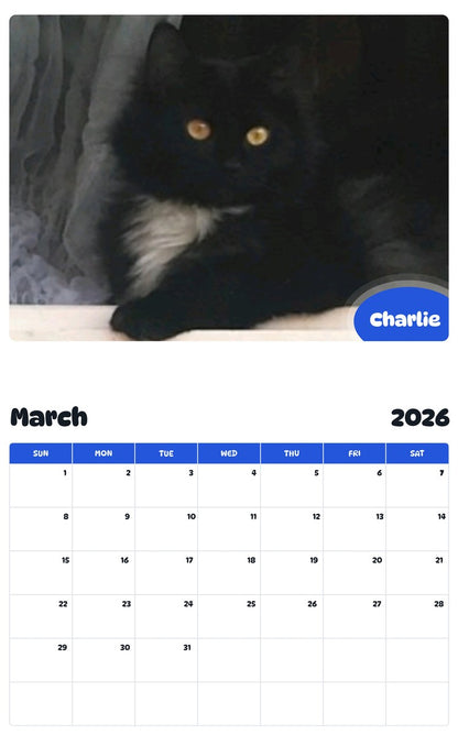 November 2025 - October 2026 Charlie - Pawidols Pet Calendar