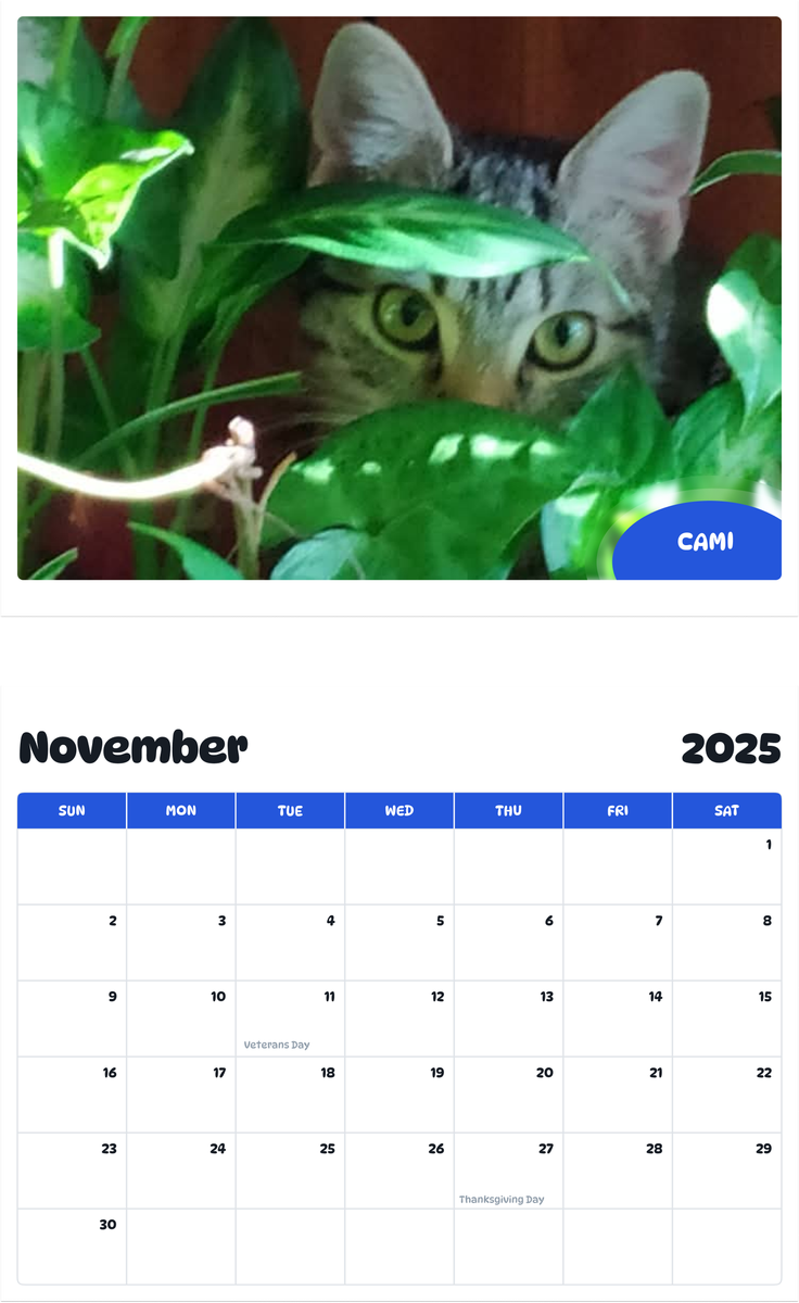 July 2025 - June 2026 Cami - Pawidols Pet Calendar